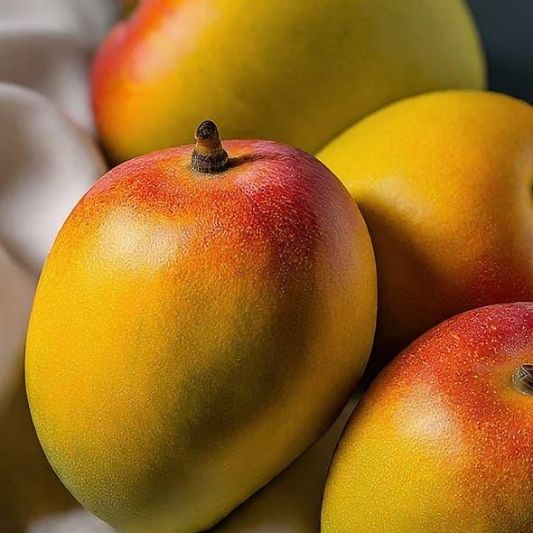 Alphonso Mango