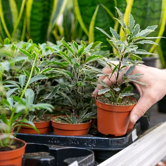 Environmental & Climate Specialists